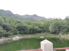 -阳台山自然风景区