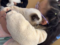 -瑞派康怡24h宠物医院·犬猫医疗中心·微创绝育(瑞景分院)
