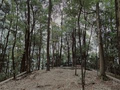 -南山植物园