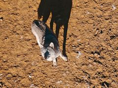 -鄂尔多斯野生动物园