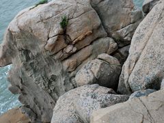 -东澳岛