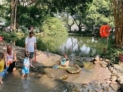 -成都市活水公园