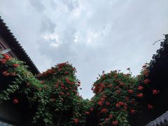 -百花洲