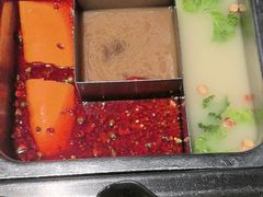 -鼎膳常火锅(华阳店)