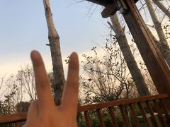 -思念果岭悦温泉