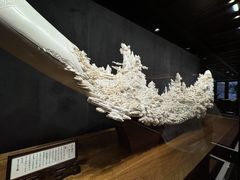 -北京贵宾楼饭店·紫金