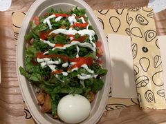-油梨树 AVOCADO TREE(亮马桥店)