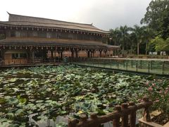 -揭东万竹园旅游景区