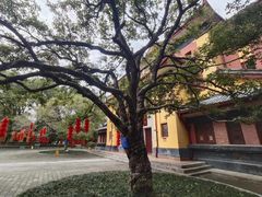 -桂林独秀峰王城景区
