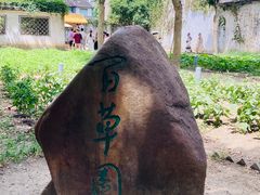 -绍兴鲁迅故里·沈园景区