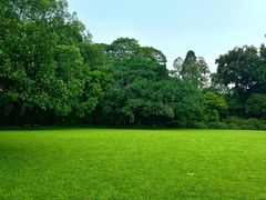 -华南国家植物园-售票处