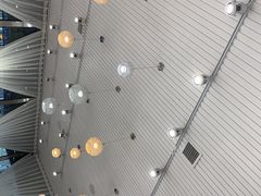 -小海丁