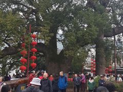 -新安江山水画廊风景区