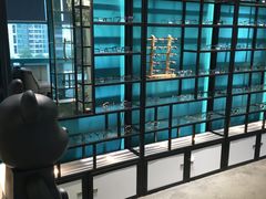 -Trend1881视光·蔡司视觉(领展广场店)