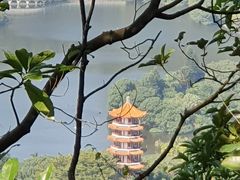 -梧桐山风景名胜区