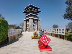 -大湾区中央湿地公园
