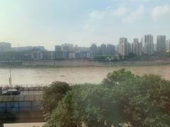 -李子坝梁山鸡(李子坝大鸡哥店)