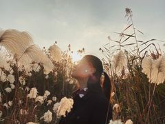 -大塘金香草谷