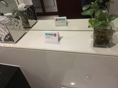 -上海浦东假日酒店