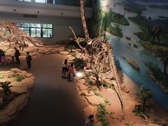 -自贡恐龙博物馆