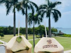 -三亚亚龙湾红树林度假酒店