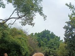 -重庆动物园·东二门售票处