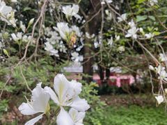 -南溪山景区