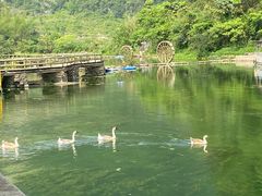 -靖西鹅泉风景区