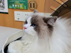 -联合动物医院(光谷诊疗中心)
