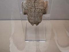 -上海博物馆