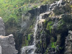 -柳侯公园