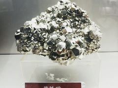 -甘肃地质博物馆