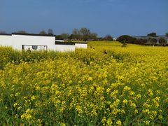 -武汉紫薇都市田园