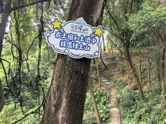 -广州市帽峰山景区