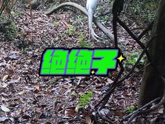 -白云山风景名胜区