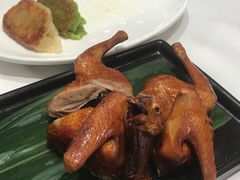 -稻香酒家·34年老字号·港式粤菜(侨光店)