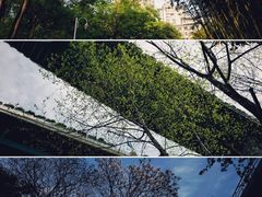 -新虹桥中心花园