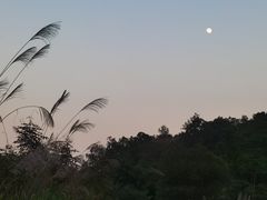 -南宁良凤江国家森林公园