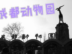 -成都动物园