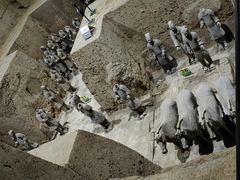 -秦始皇帝陵博物院(兵马俑)
