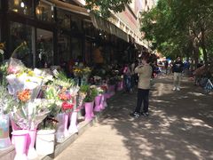 -宝鸡东道花鸟鱼虫市场(吉利花园商场店)