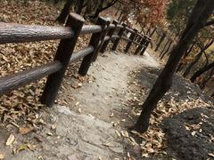 -北京十三陵国家森林公园蟒山景区