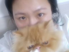 -宠爱国际动物医院· 猫科· 外科·中兽医(长白店)