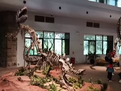 -自贡恐龙博物馆