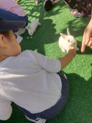 -萌宠亲子动物乐园(槐房万达店)