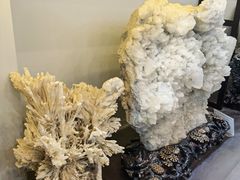 -游龙石文化科普馆