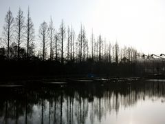-前小桔亲子创意农场·草莓采摘·露营烧烤