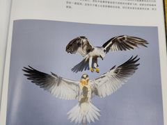 -荔湾区图书馆(周门馆)