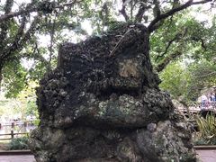-海口火山口国家地质公园