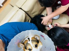 -宠颐生中康贝怡动物医院
